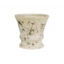 Albero white Puchar 1A