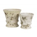 Albero white Puchar 1B