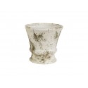 Albero white Puchar 1B